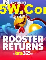 Crash Games Statistics bra365